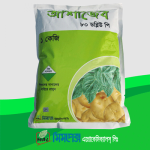 আশাজেব ৮০ ডাব্লিউ পি