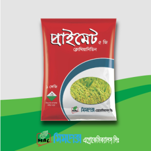 প্রাইমেট এ জি